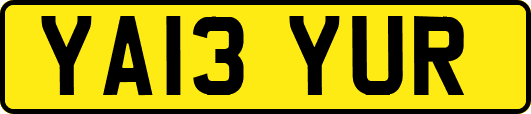 YA13YUR