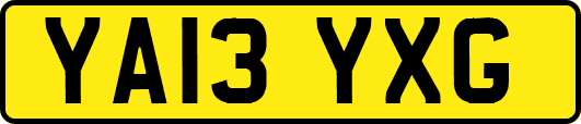 YA13YXG