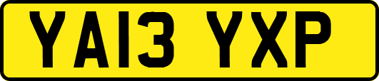 YA13YXP
