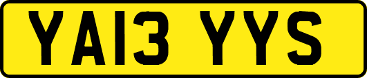YA13YYS