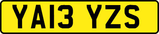 YA13YZS