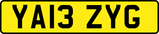 YA13ZYG