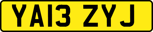 YA13ZYJ