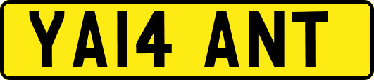 YA14ANT