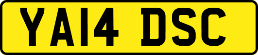 YA14DSC