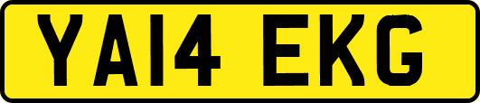 YA14EKG