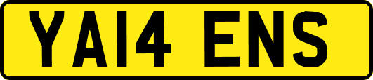YA14ENS