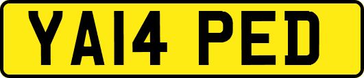YA14PED