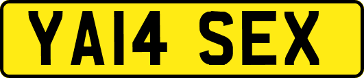 YA14SEX