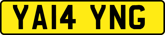 YA14YNG