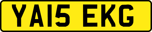YA15EKG