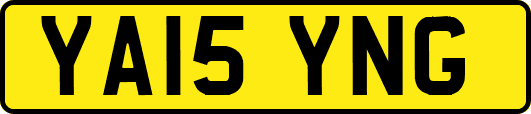 YA15YNG