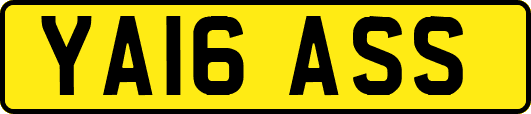 YA16ASS