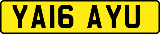 YA16AYU