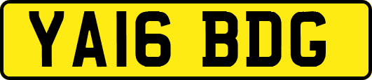 YA16BDG