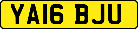 YA16BJU