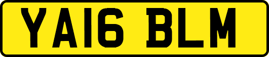 YA16BLM