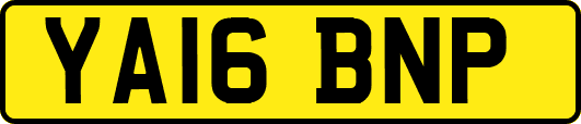 YA16BNP