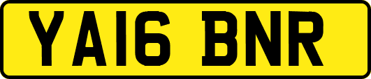 YA16BNR