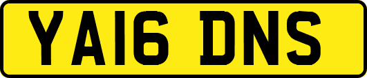 YA16DNS