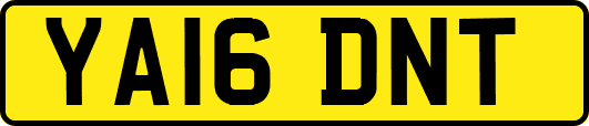 YA16DNT