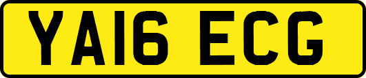 YA16ECG