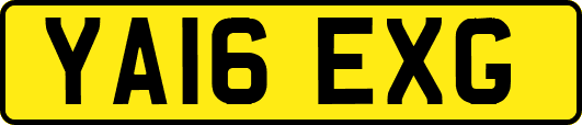 YA16EXG