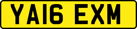 YA16EXM