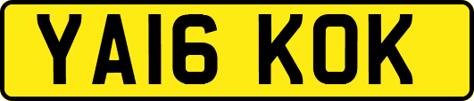 YA16KOK