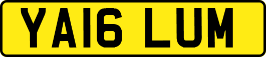 YA16LUM