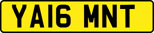 YA16MNT