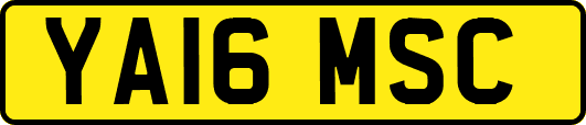 YA16MSC
