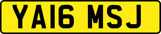 YA16MSJ