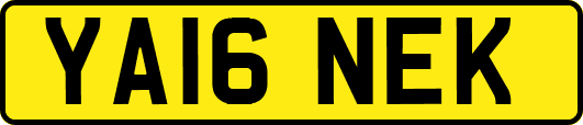 YA16NEK