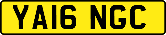YA16NGC
