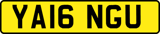 YA16NGU