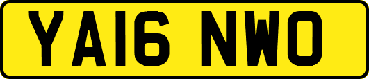 YA16NWO
