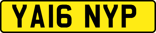 YA16NYP