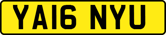 YA16NYU