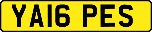 YA16PES