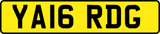 YA16RDG