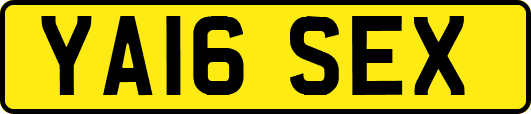 YA16SEX
