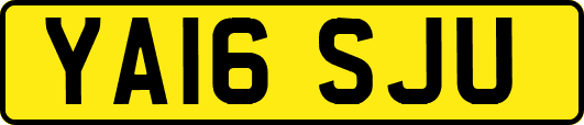 YA16SJU
