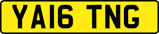 YA16TNG