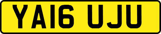 YA16UJU