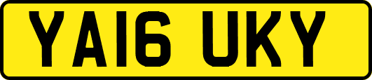 YA16UKY