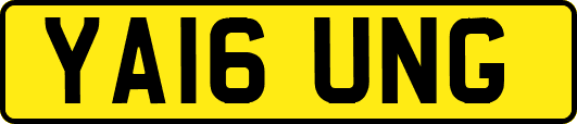 YA16UNG