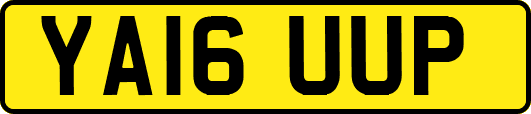 YA16UUP
