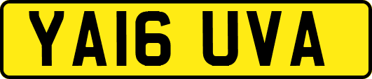 YA16UVA