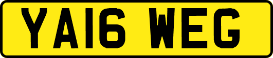YA16WEG